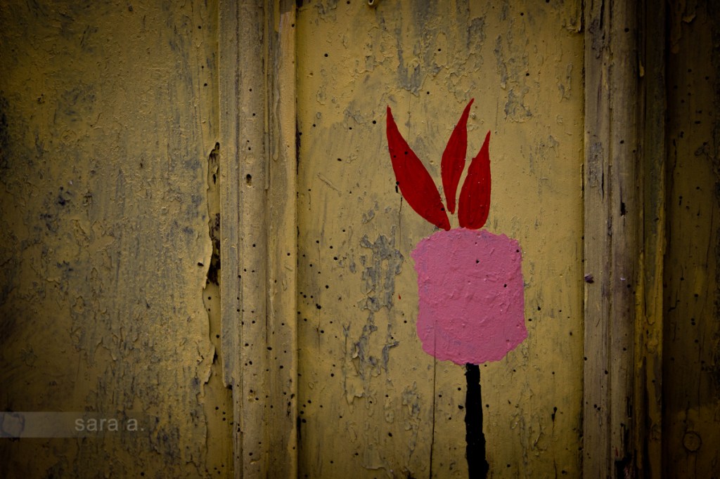 Rua das Flores