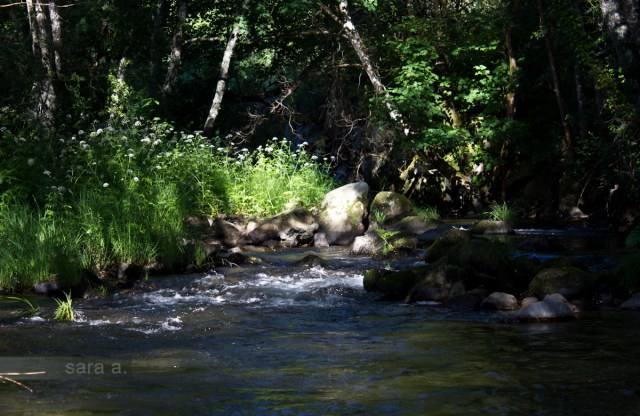 Ninguém lhe fala; o mar de longe bate; Move-se brandamente o arvoredo; Leva-lhe o vento a voz, que ao vento deita.