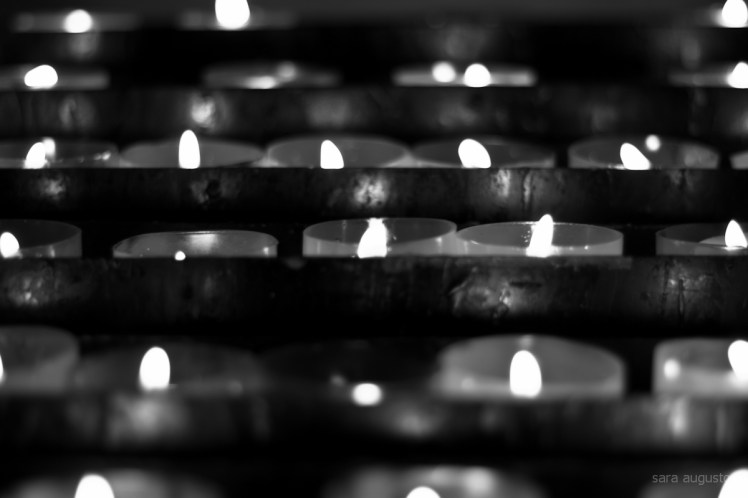 Roga pro nobis 3 sara augusto