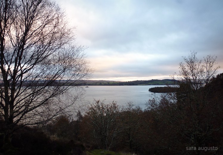 May I cry sara augusto 2