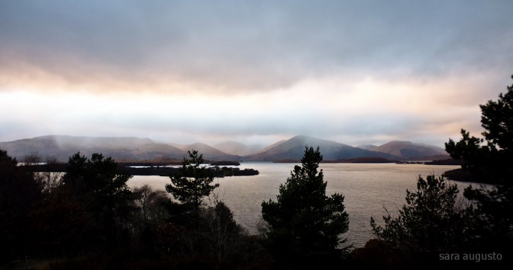 May I cry sara augusto 4