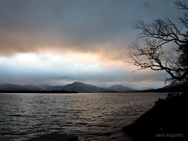 May I cry sara augusto 6