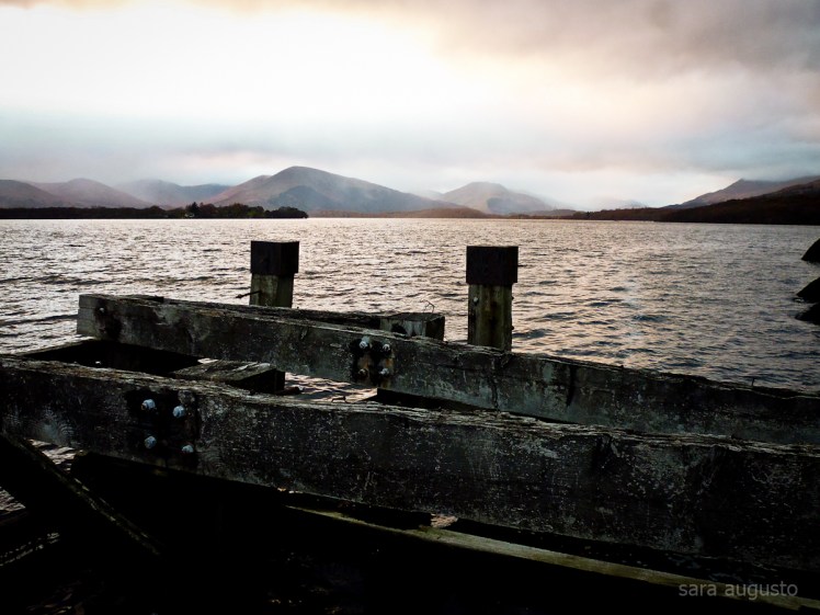 May I cry sara augusto 7