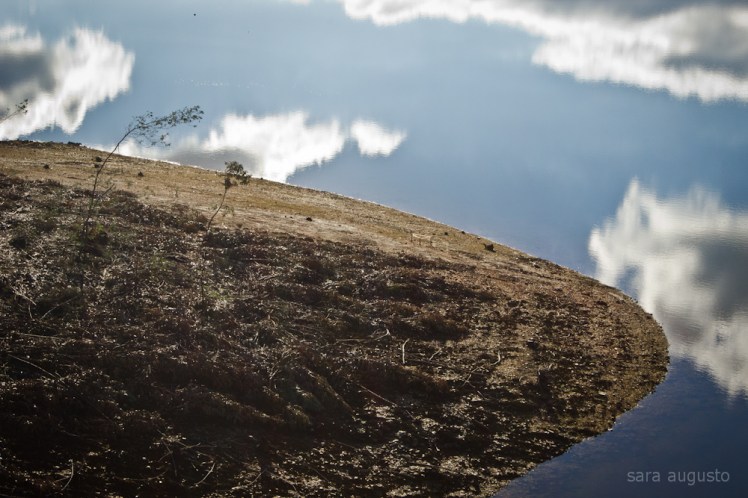 aguieira sara augusto 2