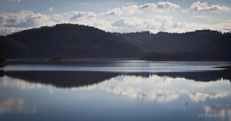 aguieira sara augusto 3