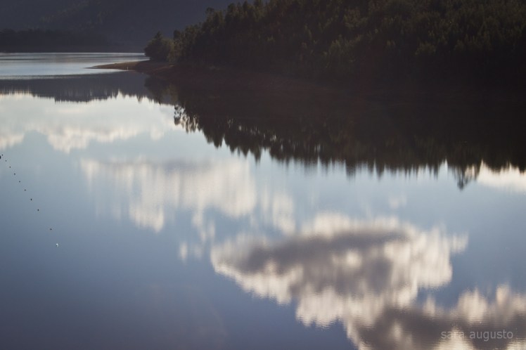 aguieira sara augusto 4