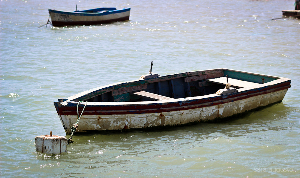 Apodrece o meu barco nas ondas do alto&nbsp;mar