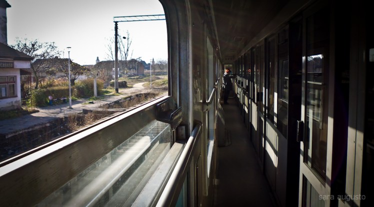 onze horas sara augusto 5