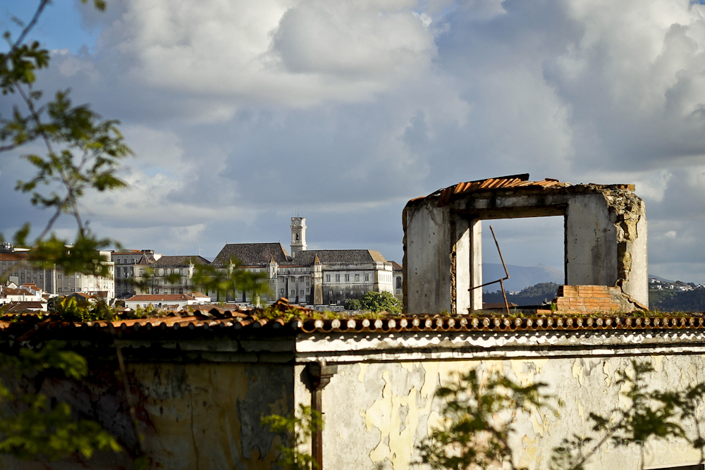 coimbra sara augusto 1