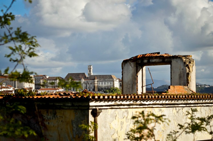 coimbra sara augusto 1