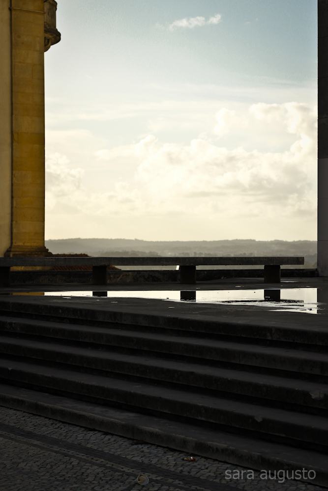 coimbra sara augusto 10