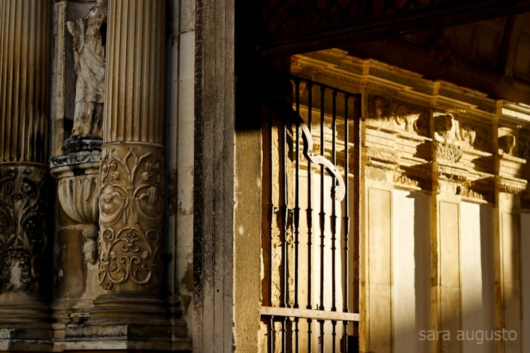 coimbra sara augusto 11