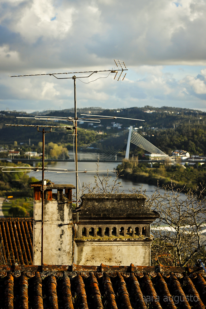 coimbra sara augusto 14