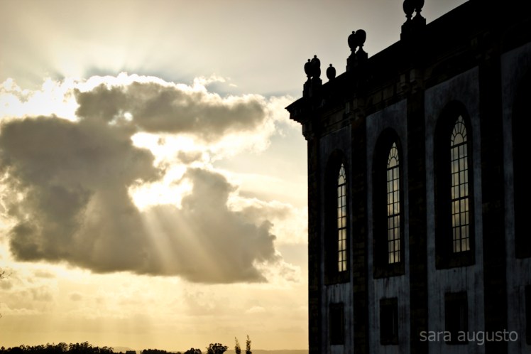 coimbra sara augusto 15