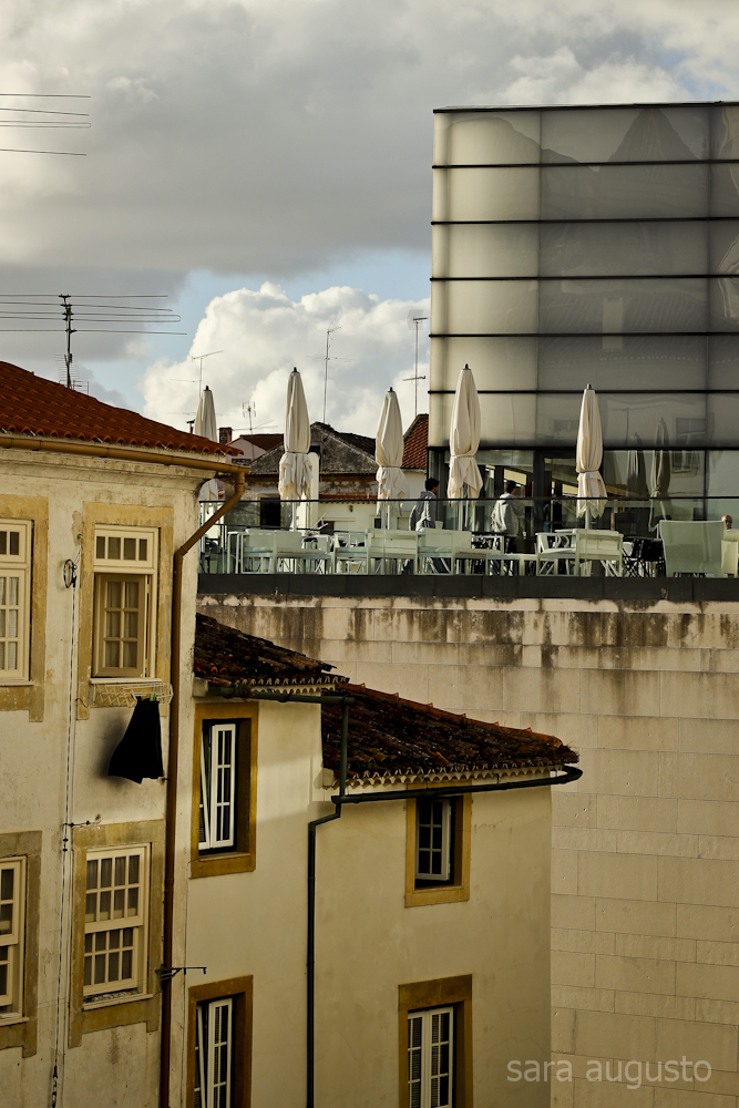 coimbra sara augusto 3