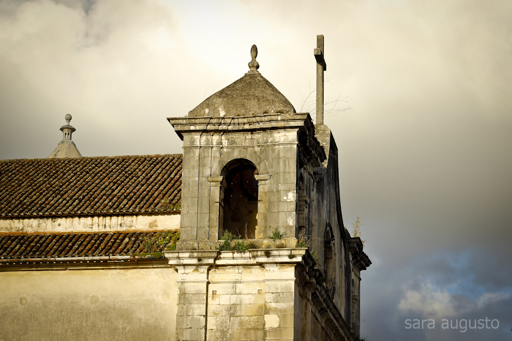 coimbra sara augusto 5