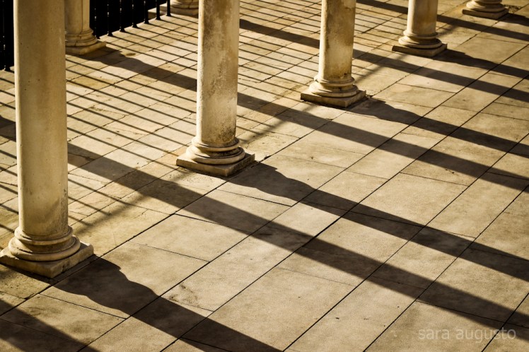 coimbra sara augusto 6