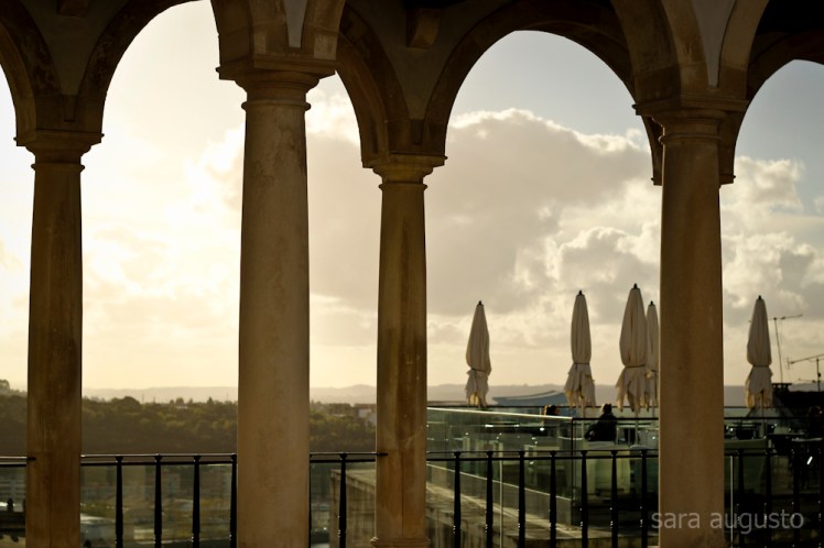 coimbra sara augusto 7