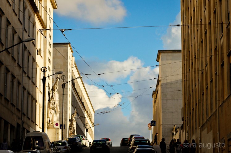 coimbra sara augusto 9