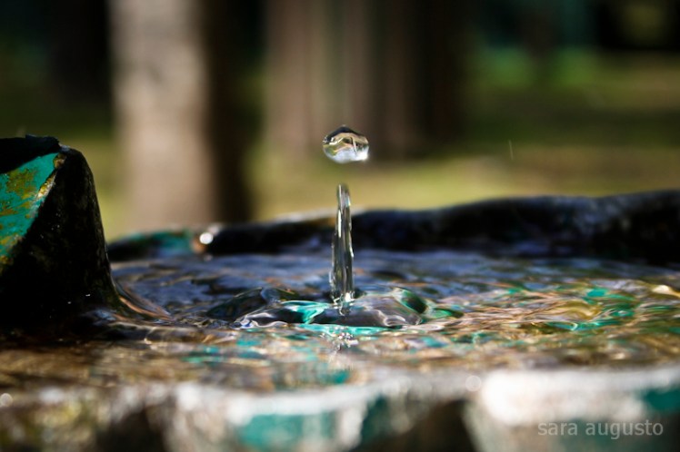 living water II sara augusto