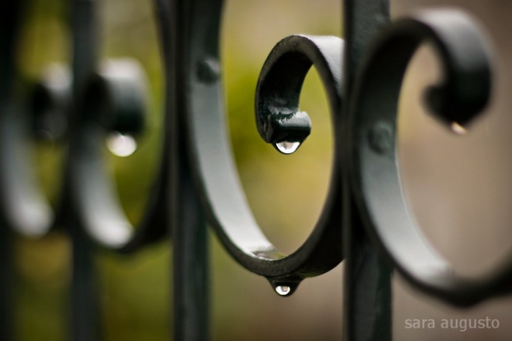 living water sara augusto