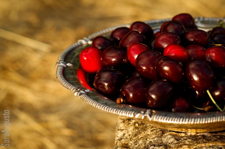 cerejas sara augusto