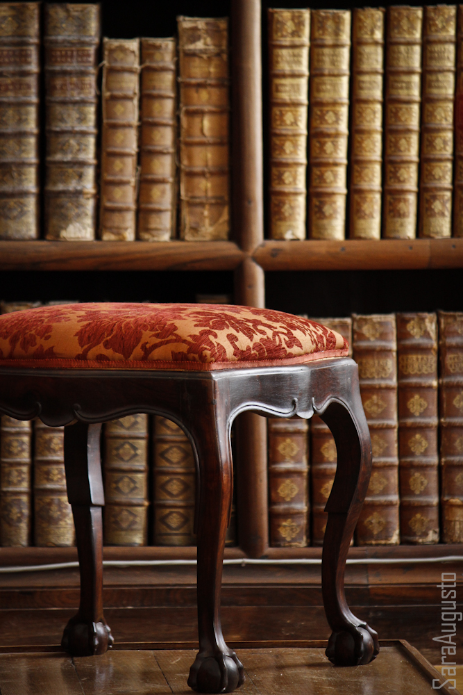 sala S. Pedro sara augusto 2