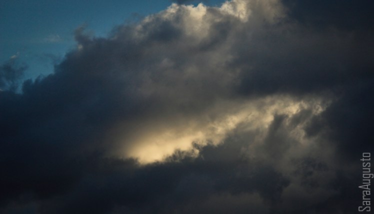 skyfall sara augusto 1