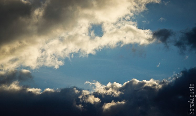 skyfall sara augusto 2