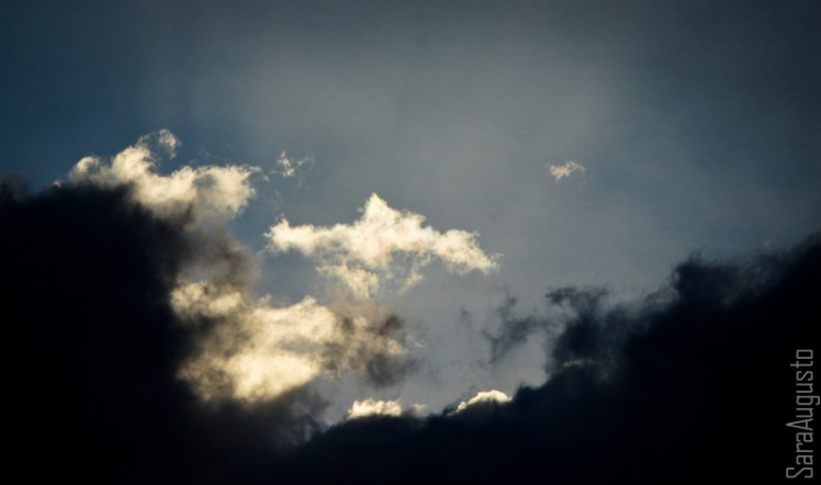 skyfall sara augusto 4