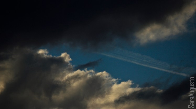 skyfall sara augusto 5