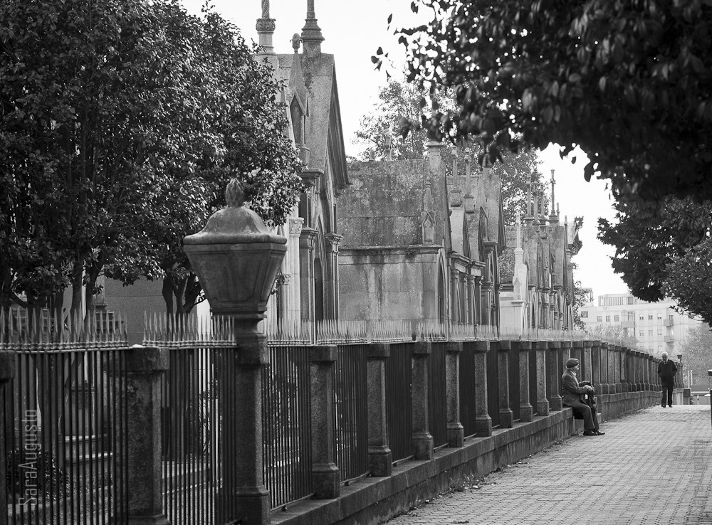 saraaugusto_MG_6509