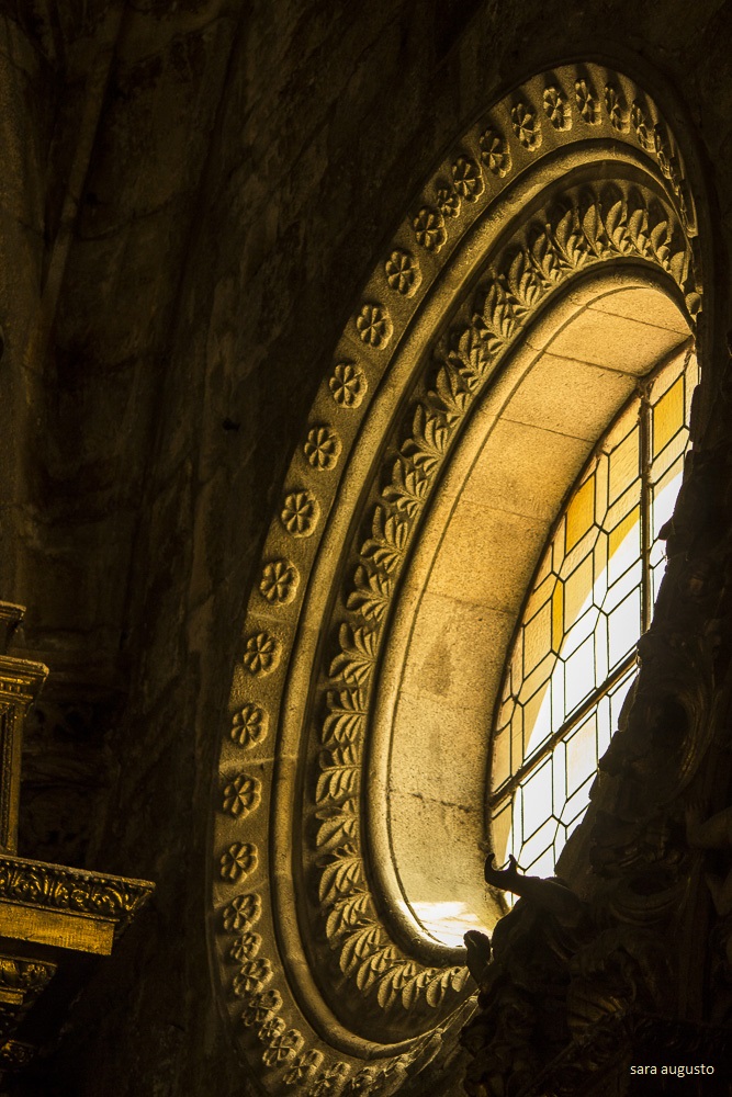 _MG_0369 sara augusto