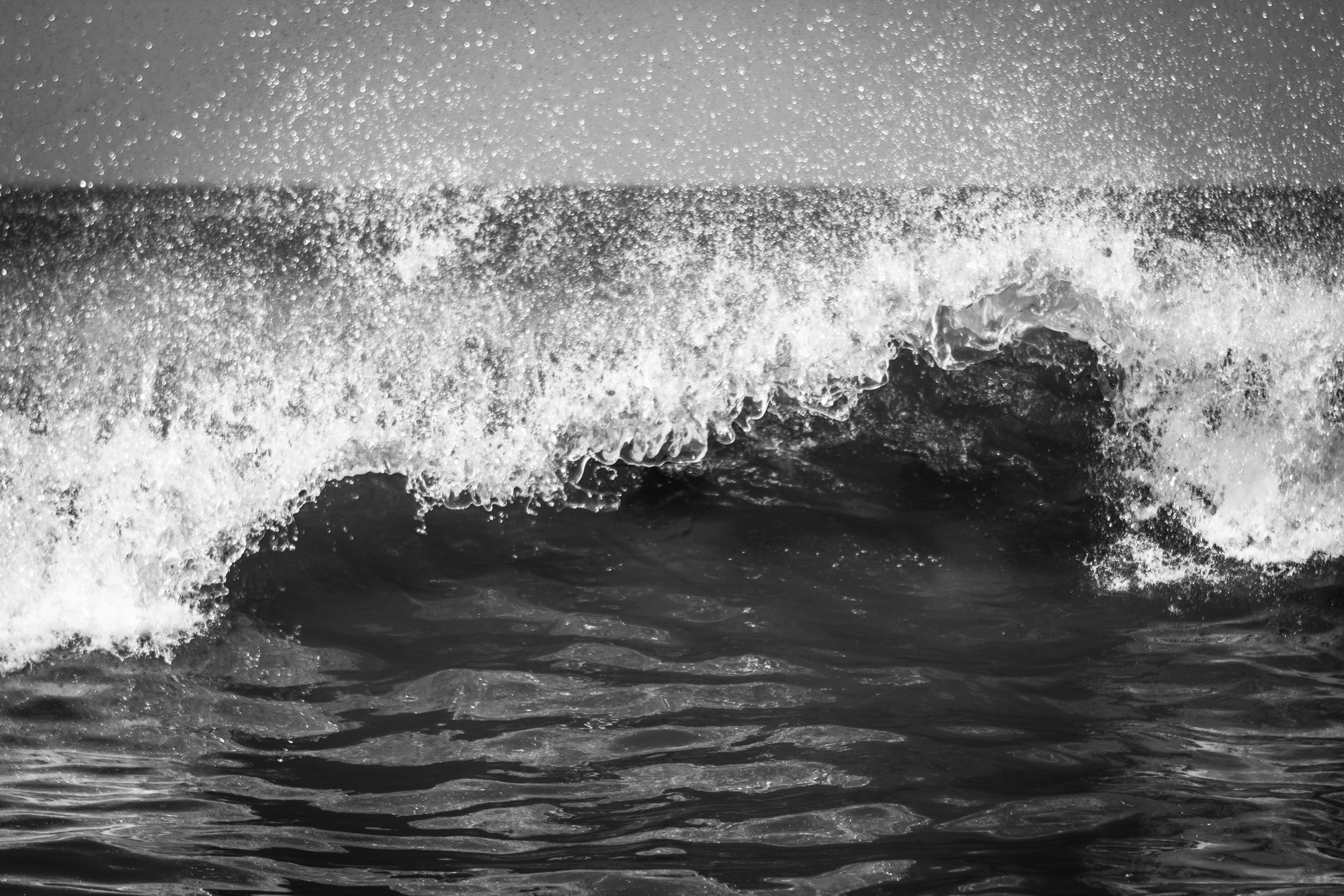 _MG_8871